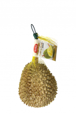 B25026 Sunlee Frozen Monthong Durian (Whole) 1x12 kg (26 lb)